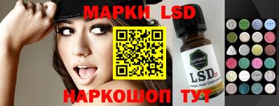 гидропоника Камышлов