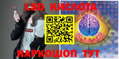 гидропоника Камышлов