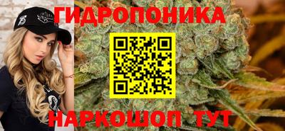 гидропоника Камышлов