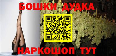 гидропоника Камышлов