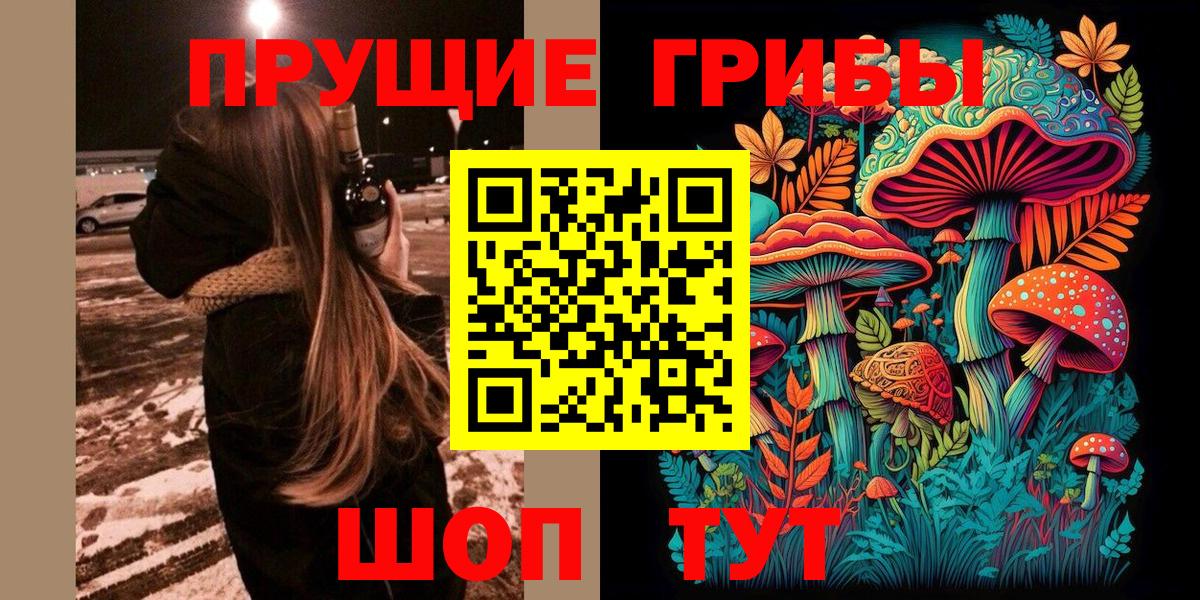 Киров  Галлюциногенные грибы прущие грибы  Вход с VPN 